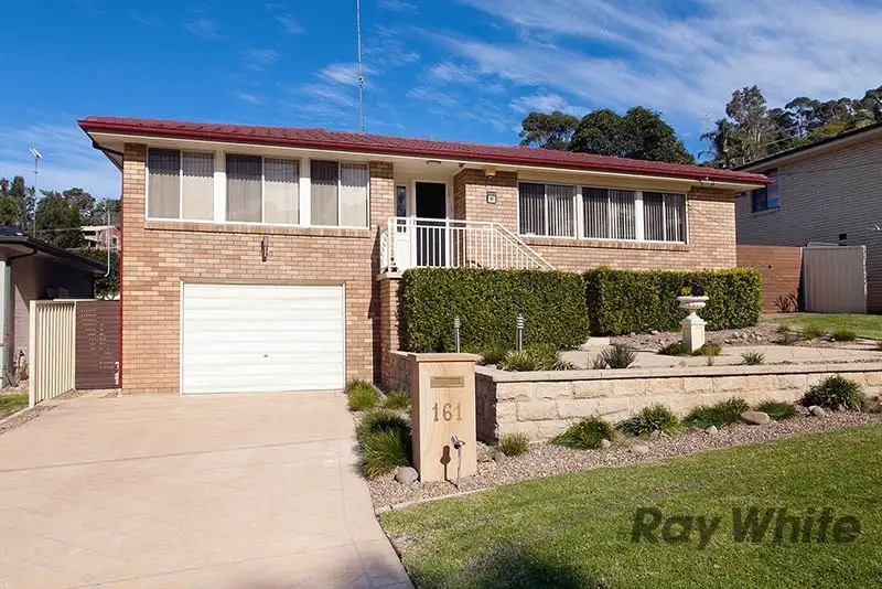 Main view of Homely house listing, 161 Waples Road, Farmborough Heights NSW 2526