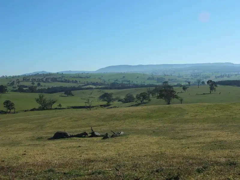 Main view of Homely rural property listing, Lot 3 O''Connell Plains Road, O'connell NSW 2795
