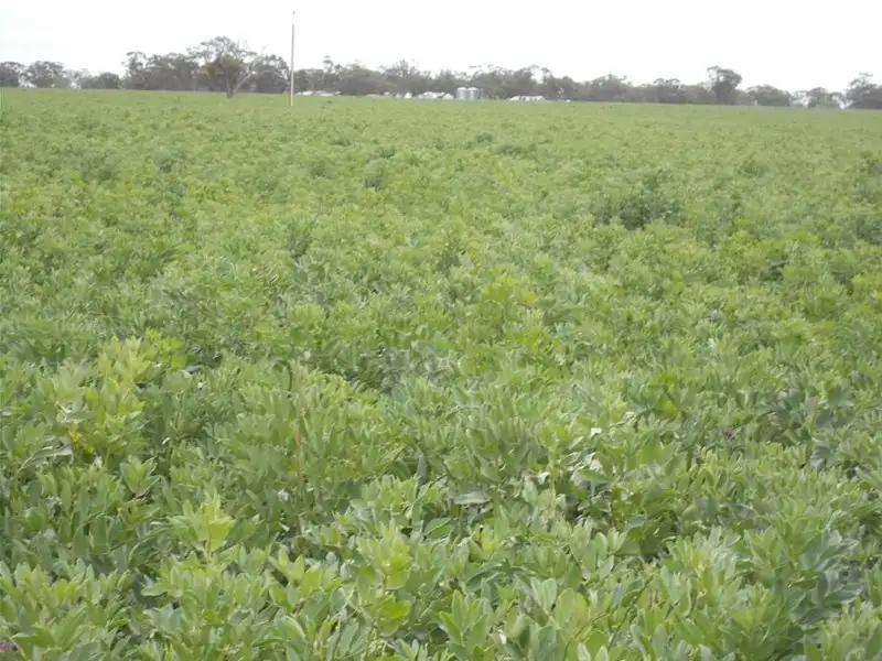 Main view of Homely rural property listing, 1283 Custon Road, Wolseley SA 5269