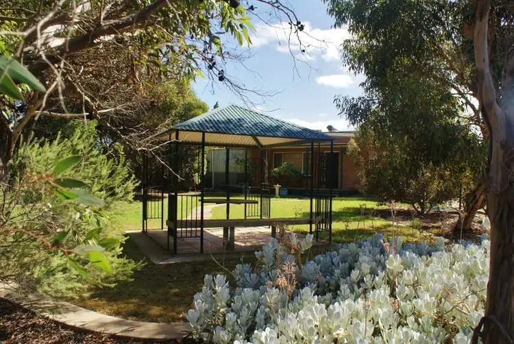 Main view of Homely house listing, 138 Hindmarsh Road, Murray Bridge SA 5253