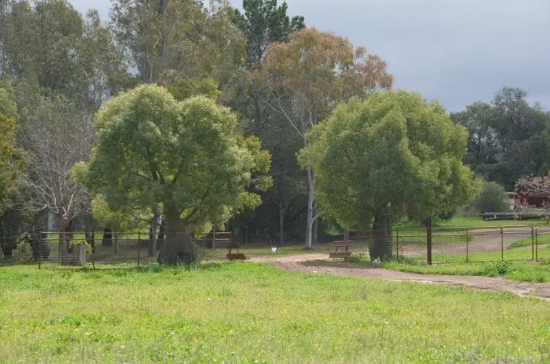 Main view of Homely rural property listing, " Brooklyn, Gravesend NSW 2401