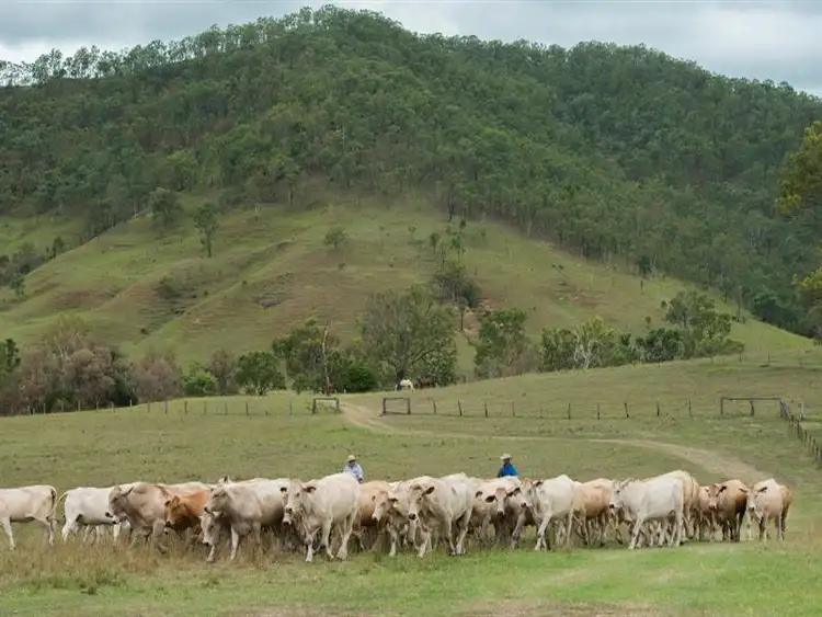 Third view of Homely rural property listing, Address available on request