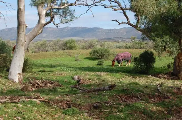 Second view of Homely house listing, 352 Schmidt Road, Quorn SA 5433