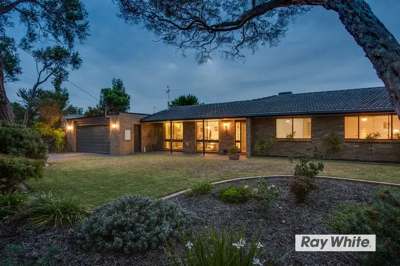 Main view of Homely house listing, 13 Daly Avenue, Rye VIC 3941