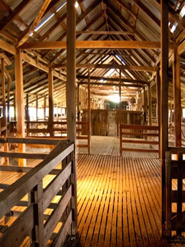 Third view of Homely rural property listing, "CARWELL " Carwell Station, Coonamble NSW 2829