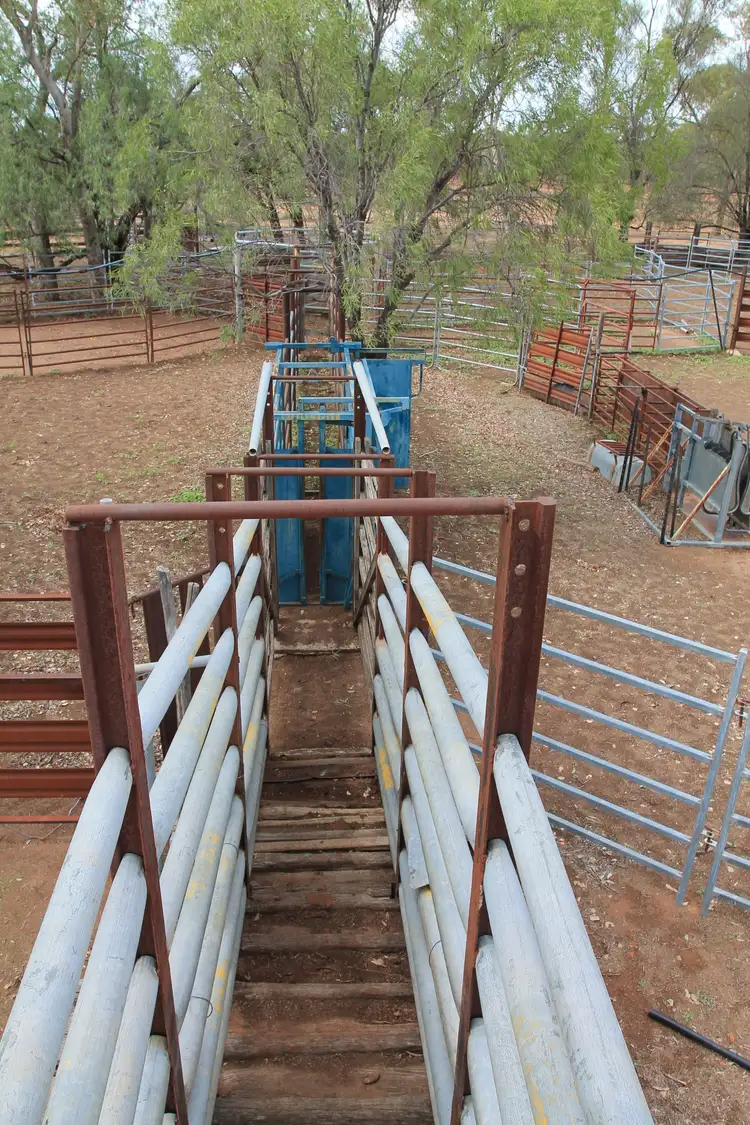 Seventh view of Homely rural property listing, 1159 Maryvale Road, Morven QLD 4468