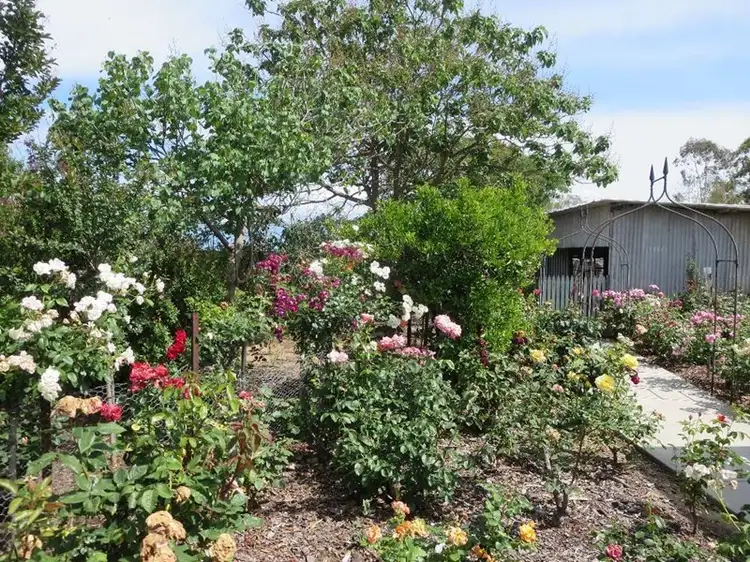 Sixth view of Homely house listing, 115 Hume Street, Howlong NSW 2643