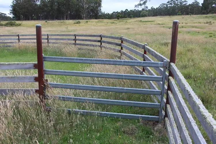 Fourth view of Homely rural property listing, 1764 "Westwood" Guyra Road, Wongwibinda NSW 2350