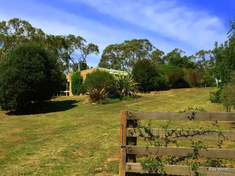 Seventh view of Homely rural property listing, 172 Northangera, Braidwood NSW 2622