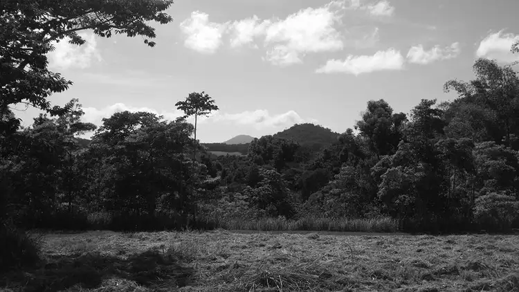 Seventh view of Homely land listing, Lot 40 Salisbury Drive, Julatten QLD 4871