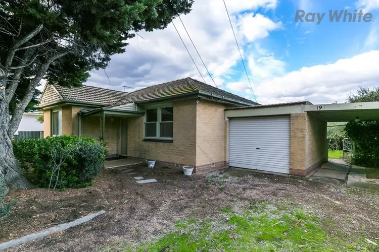 Main view of Homely house listing, 19 Allambee Avenue, Edwardstown SA 5039