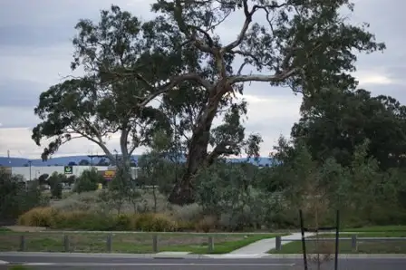 Fourth view of Homely land listing, 22 Bedervale Loop, Doreen VIC 3754