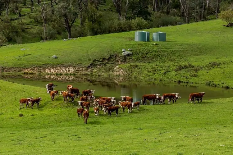 Second view of Homely rural property listing, 76 Klippels Lane, Corryong VIC 3707