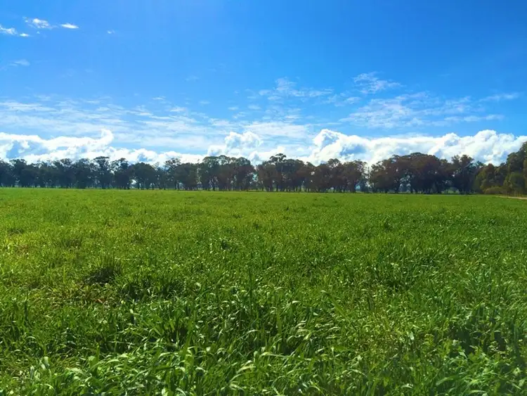 Seventh view of Homely rural property listing, Address available on request