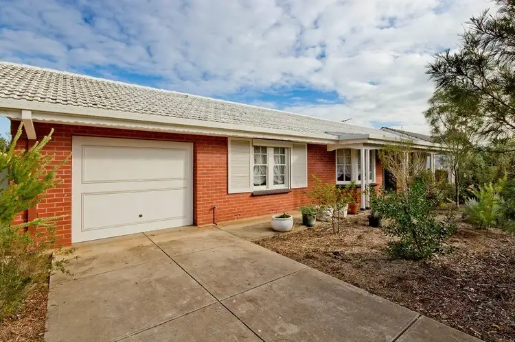 Main view of Homely house listing, 11 Mawson Crescent, Lockleys SA 5032