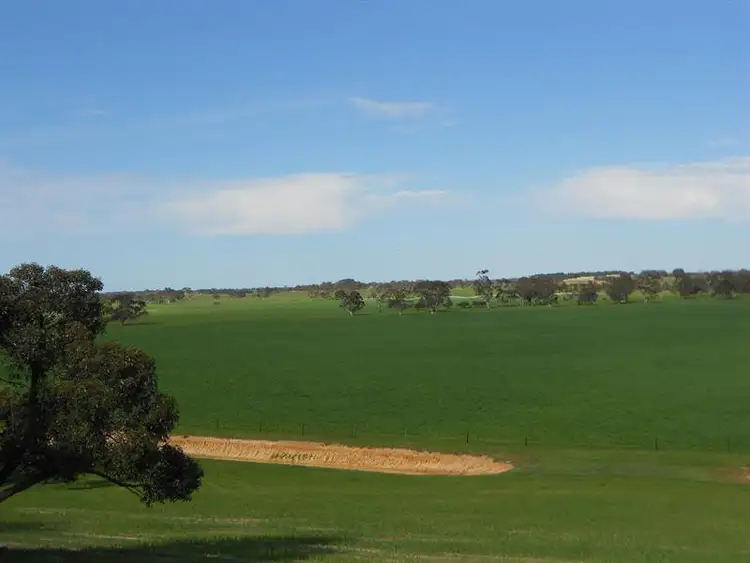 Seventh view of Homely rural property listing, 2134 Naracoorte Road, Bordertown SA 5268