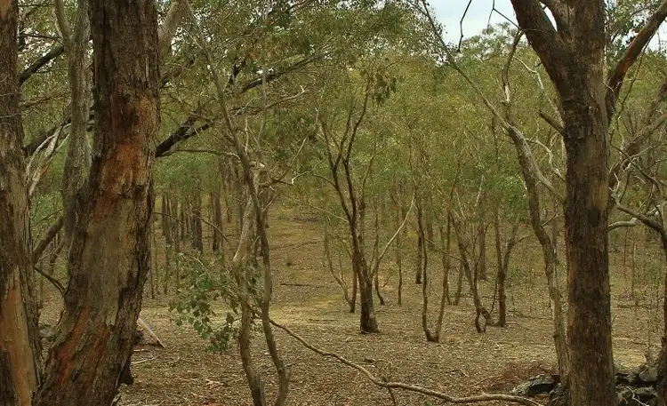 Fifth view of Homely land listing, Allotment B18 Back Kyneton Road, Heathcote VIC 3523