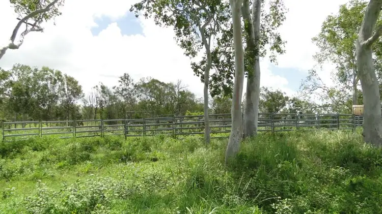 Fourth view of Homely rural property listing, 940 Mt Ossa-Seaforth Road, Seaforth QLD 4741