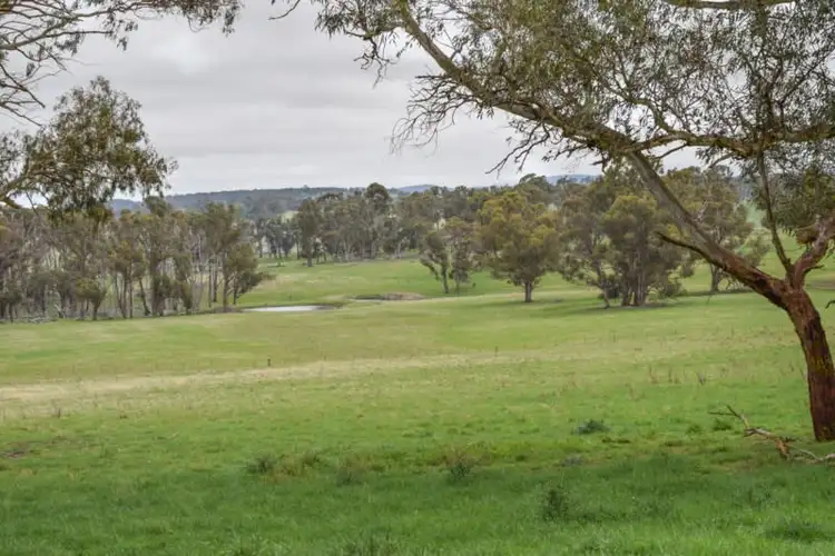 Sixth view of Homely rural property listing, Earlstoun 126 Earlstoun Road, Guyra NSW 2365