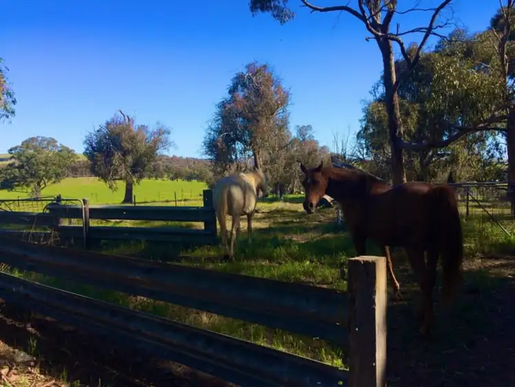 Fifth view of Homely rural property listing, 7089 Mid Western Highway, Lyndhurst NSW 2797