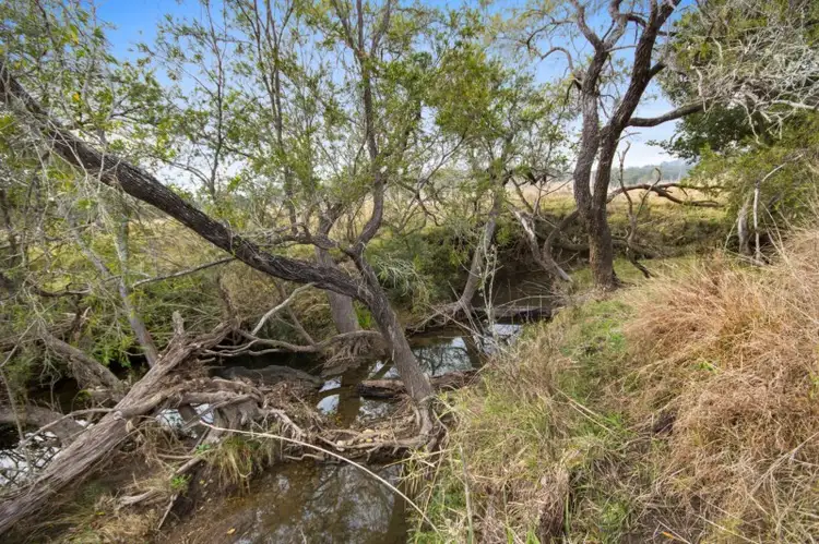 Second view of Homely house listing, 111 Dwyer Ridges Road, Mount Alford QLD 4310