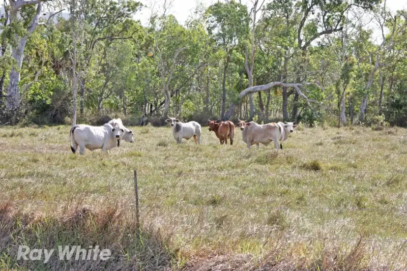 Main view of Homely rural property listing, 741 Keppel Sands Road, Keppel Sands QLD 4702