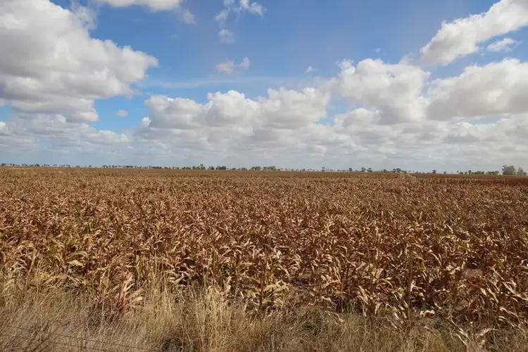 Sixth view of Homely rural property listing, 00 Tates Road, Bowenville QLD 4404