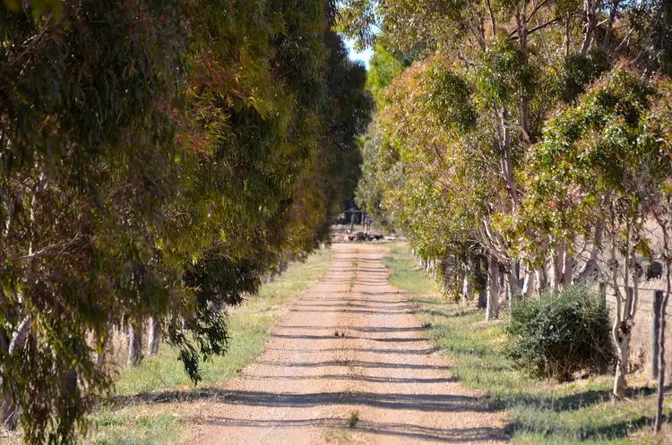 Fourth view of Homely rural property listing, 285 Burnside Road, Strathalbyn SA 5255