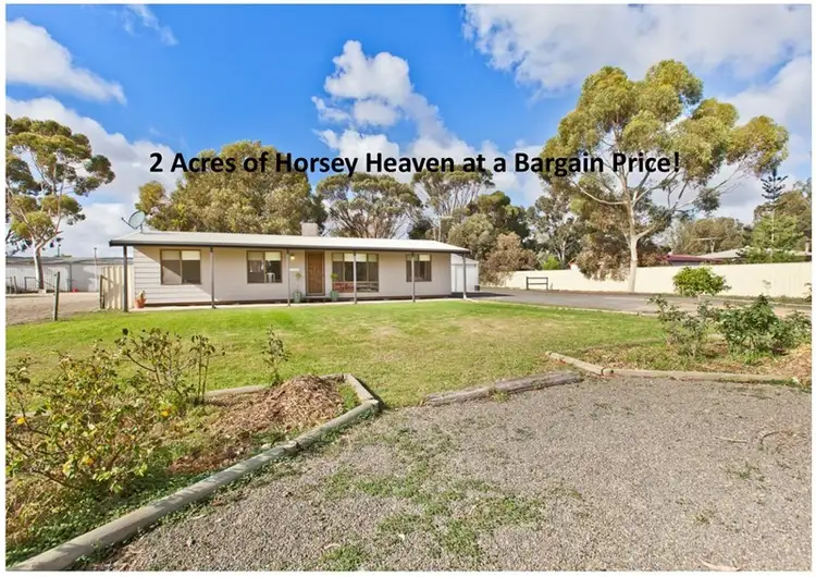 Main view of Homely house listing, 36 Pederick Road, Lewiston SA 5501