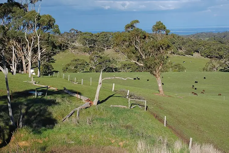 93 Phillips Hill Road, Meadows SA 5201