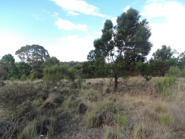 Fourth view of Homely rural property listing, 980 Range Road, Goulburn NSW 2580
