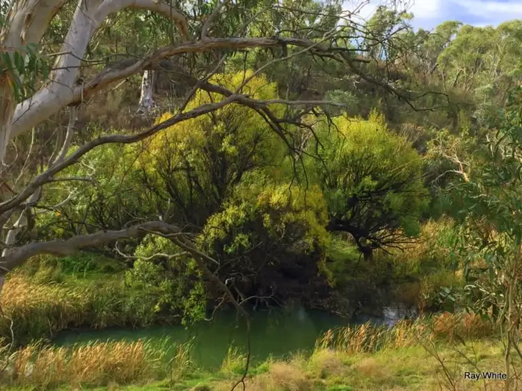 Seventh view of Homely rural property listing, 606 Bombay Road, Braidwood NSW 2622