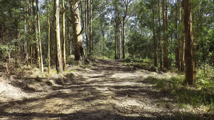 Lot 142 Mount Royal Road, Singleton NSW 2330