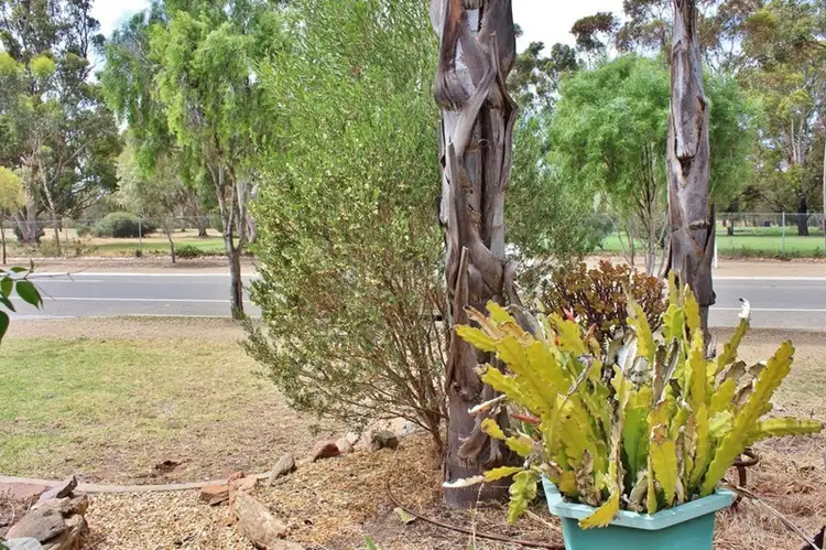 Second view of Homely house listing, 111 Standen Street, Murray Bridge SA 5253