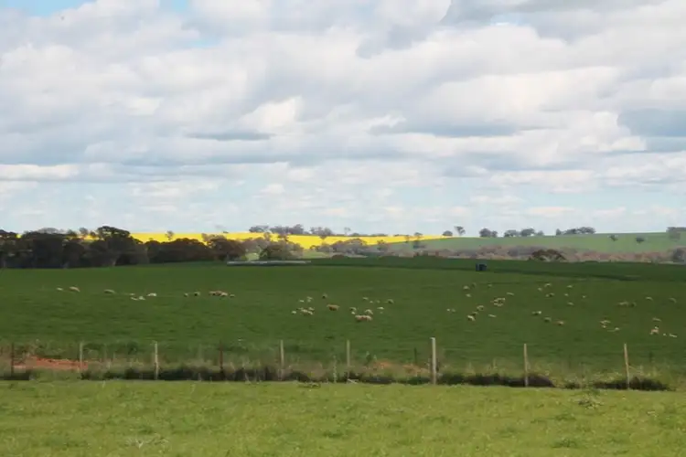 Main view of Homely land listing, 605 Spring Creek Road, Young NSW 2594
