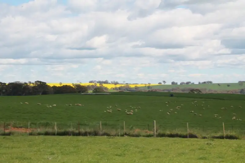 Main view of Homely land listing, 605 Spring Creek Road, Young NSW 2594