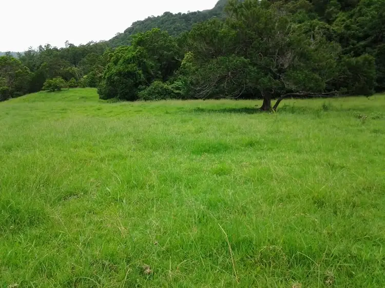 Seventh view of Homely land listing, 1318 Currumbin Creek Road, Currumbin Valley QLD 4223