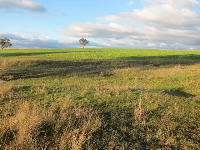 Third view of Homely rural property listing, 157 Ascot - Calala Lane, Loomberah NSW 2340