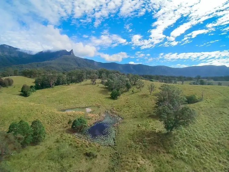 Second view of Homely rural property listing, 477 Pinnacle Road, Tyalgum NSW 2484