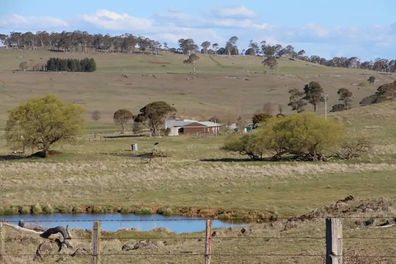 Main view of Homely rural property listing, 257 'Sunnyside' Wards Mistake Road, Guyra NSW 2365