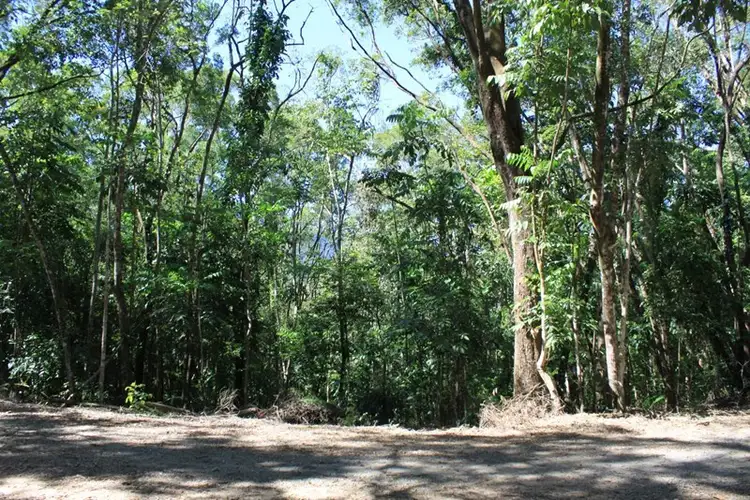 Second view of Homely land listing, Lot 37 Ronald Road, Forest Creek, Daintree QLD 4873