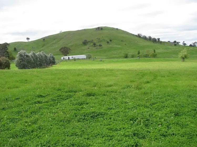 Second view of Homely rural property listing, 38 Warm Corner Road, Burra NSW 2620