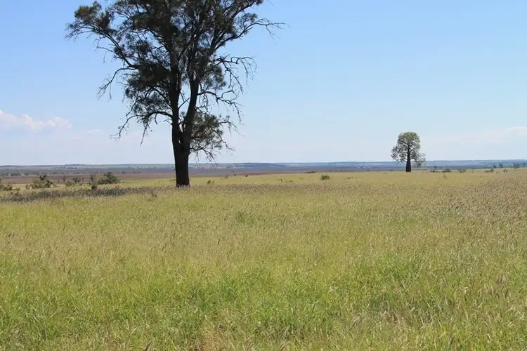 Fourth view of Homely rural property listing, Address available on request