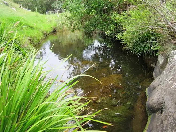 Sixth view of Homely rural property listing, 180 Wattle Tree Road, Dungog NSW 2420