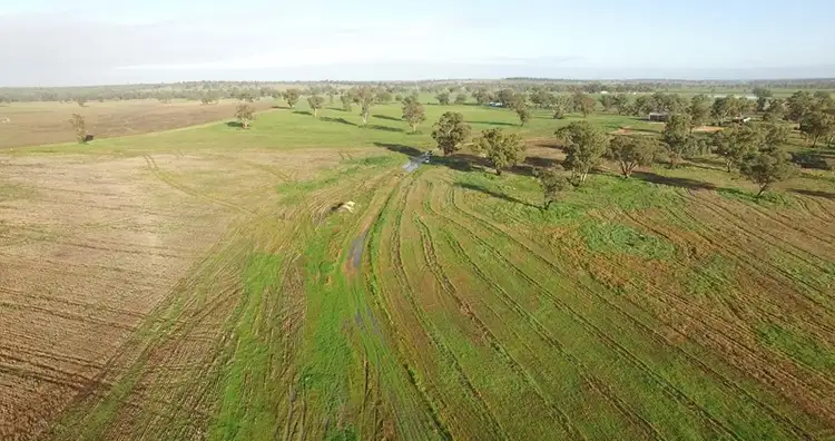 Fifth view of Homely rural property listing, 3493 Strontian Road, Narrandera NSW 2700