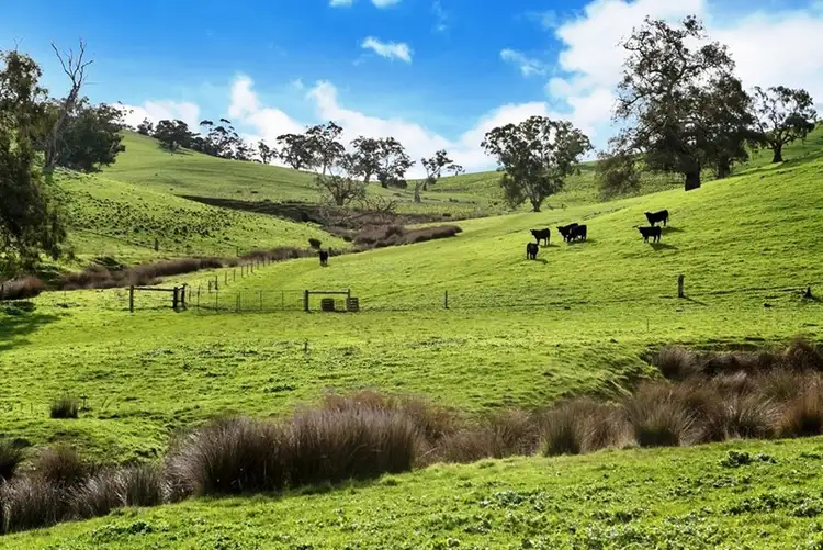 Third view of Homely rural property listing, Lot 325 Old Glen Road, Pewsey Vale SA 5351