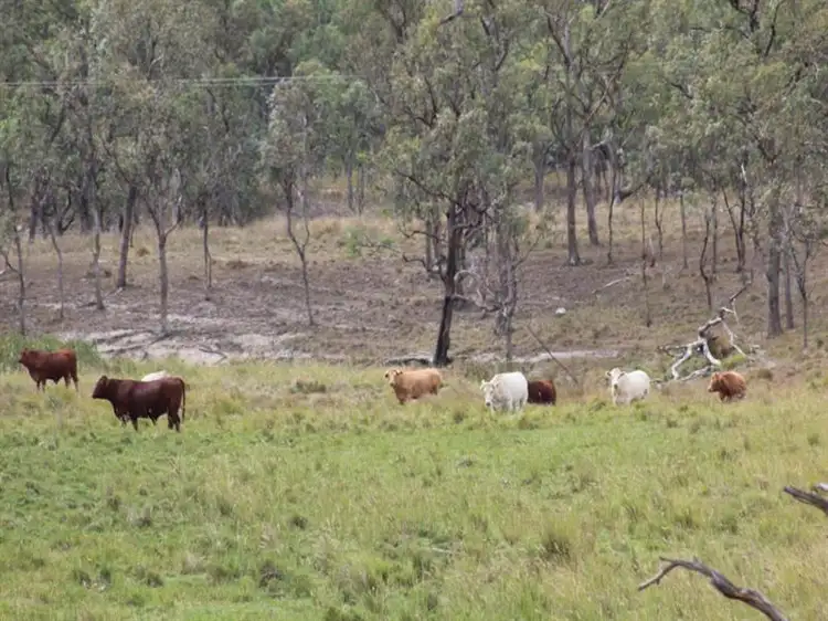 Third view of Homely rural property listing, . Bruxner Highway, Tenterfield NSW 2372