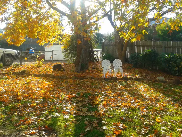 Sixth view of Homely house listing, 148 West, Glen Innes NSW 2370