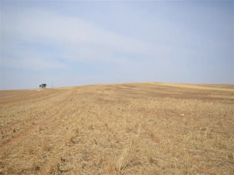 Third view of Homely rural property listing, 2 Lots RM Williams Highway, Andrews via, Spalding SA 5454