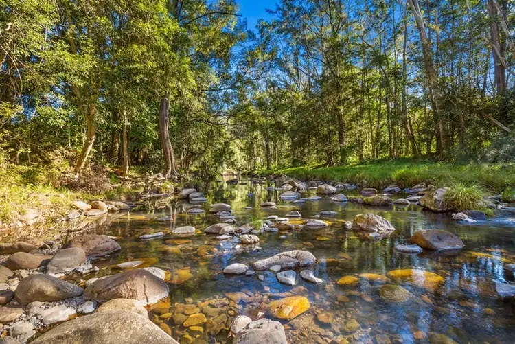 Fourth view of Homely rural property listing, 1753 Numinbah Road, Chillingham NSW 2484